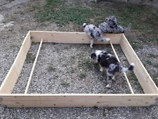 Cuccia parto per cani in abete