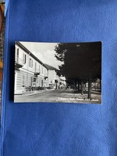 CARTOLINA  COLLEGNO - VIALE