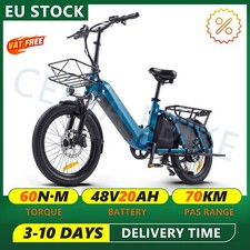 Bicicletta Elettrica 20