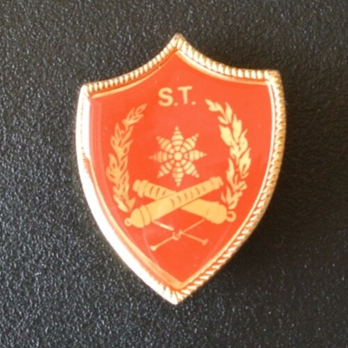 Militaria spilla distintivo - militaria,