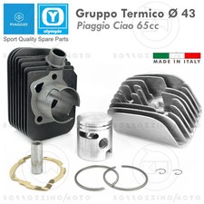 GRUPPO TERMICO OLYMPIA 65cc