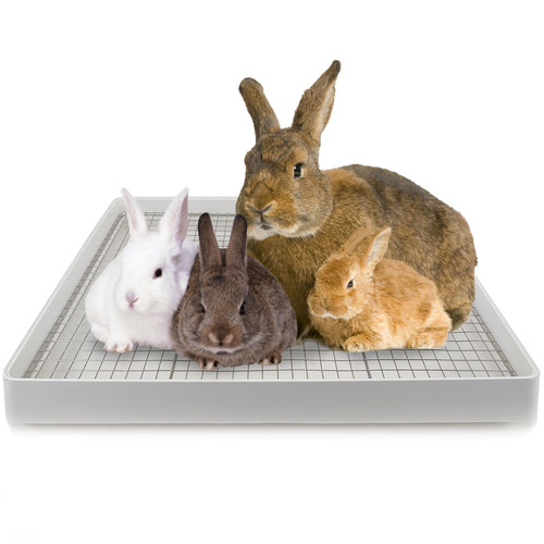 Oncpcare extra large rabbit - oncpcare,