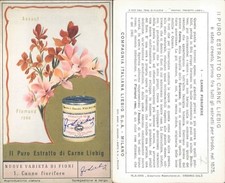 FIGURINA LIEBIG ANNI 50*NUOVE VARIETA' DI FIORI-CANNE FIORITE* N.7