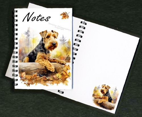Welsh terrier dog - welsh,
