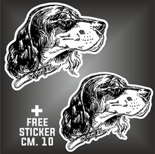 adesivo english setter dog car