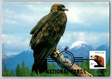 #4610 Birds of Prey Golden Eagle Maxi Card con Annullo Parco Nazionale