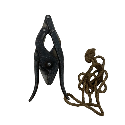 Pinze tagliafili esercito - tagliafili,