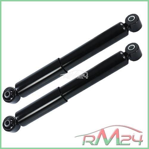 Ammortizzatore gas - 2x, a