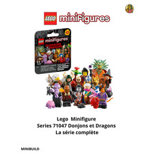 Lego Minifigure 71047 Series
