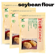 Kinako di soia biologico