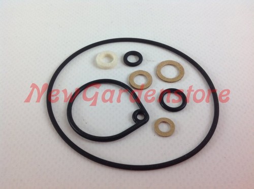 Kit guarnizioni carburatore