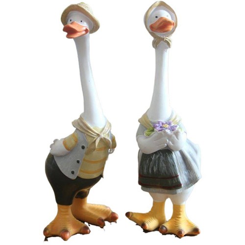 Coppia anatre da - anatre,