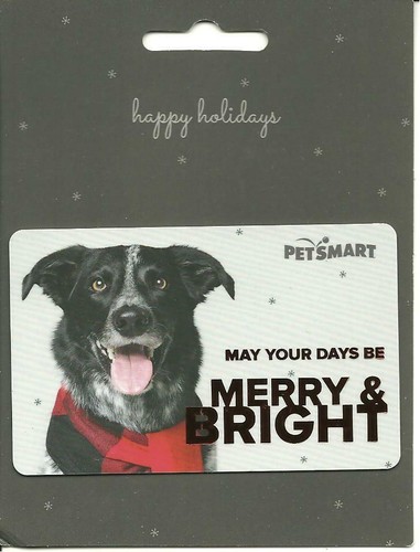 Petsmart cute dog - dog, may