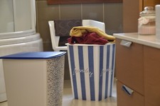 CESTONE Porta Biancheria in plastica con Coperchio Cesto per Panni Sporchi 50L