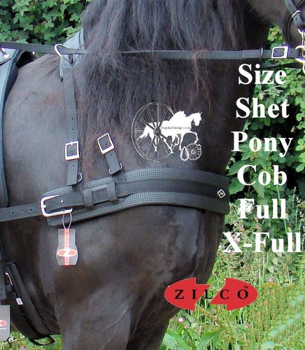 Set collare seno - , imbracatura