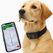 New GPS Pet Tracker Collar -