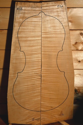 Legno per violoncello acero