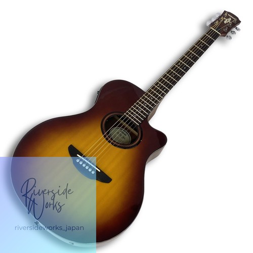 Chitarra acustica elettrica