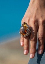Grande anello dichiarazione