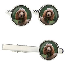 Set Di Barboncini Con Fermagli In Una Scatola Con Immagine. Art-Dog