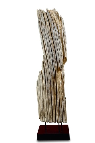 Legno deriva scultura 100cm - legno, di