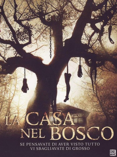 Dvd casa nel bosco - , la