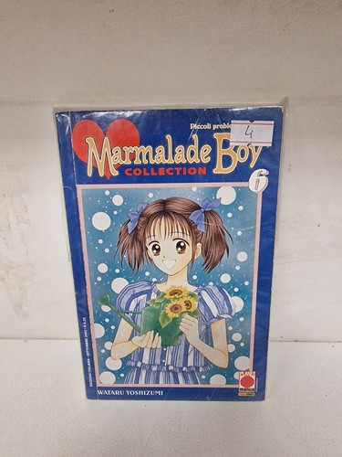 Marmalade boy 1 - boy, #6