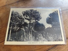 CASAL BORSETTI RAVENNA CARTOLINA FG BN VGT NON LUCIDA