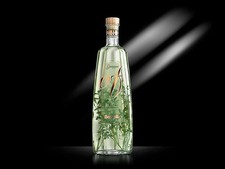 BONOLLO GRAPPA ALLA RUTA 70 CL