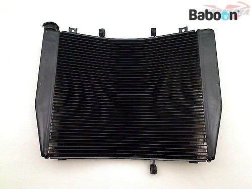 Radiatore ricambio kawasaki - radiatore,