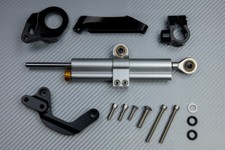 Ammortizzatore Sterzo Silver +