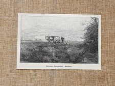 Morning painting by Alceste