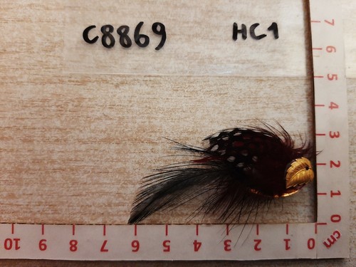 C8869 pin spilla foglia - pin,