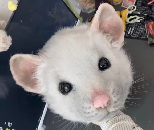 Custom fancy rat fursuit head - custom,