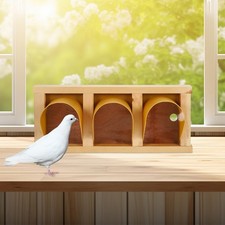  Porta Per Piccioni Trappola