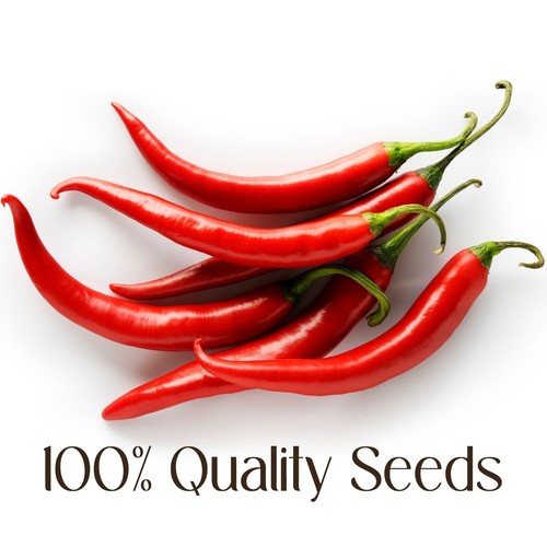 Peperoncino red birds - eye,