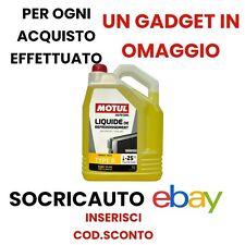 5 LT Antigelo Giallo -25°