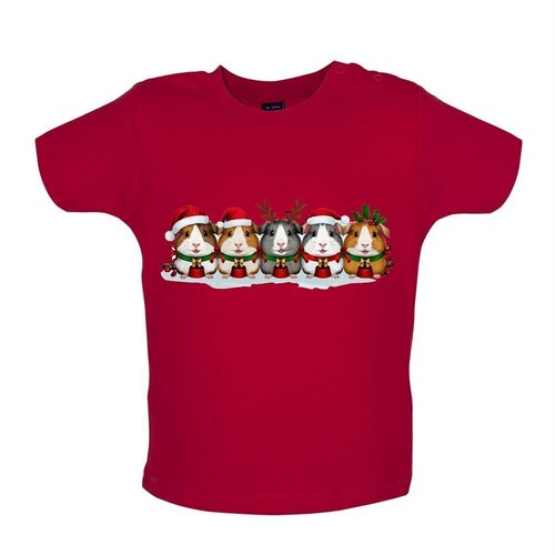 Natale guinea suini - natale,