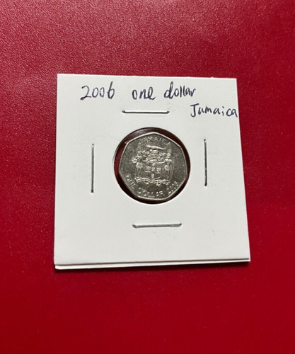 Moneta dollaro - moneta,