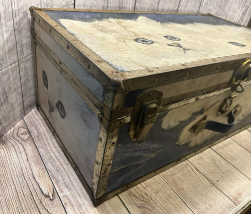 Baule per gatti vintage senza