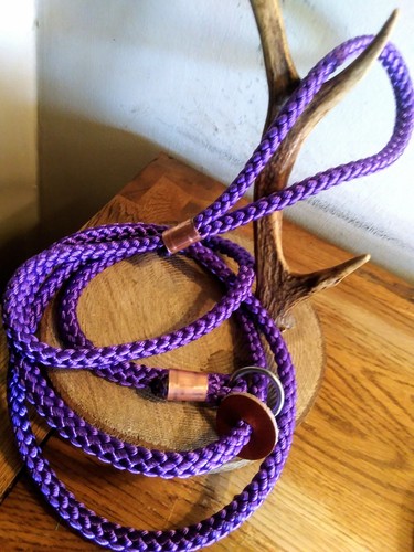 Guinzaglio scivolo cane