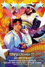 WWE GIGANTE 24”x36” POSTER