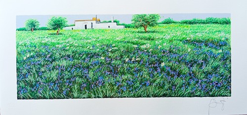 Franco azzinari serigrafia - azzinari,