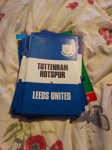 Tottenham hotspur stagione - hotspur,