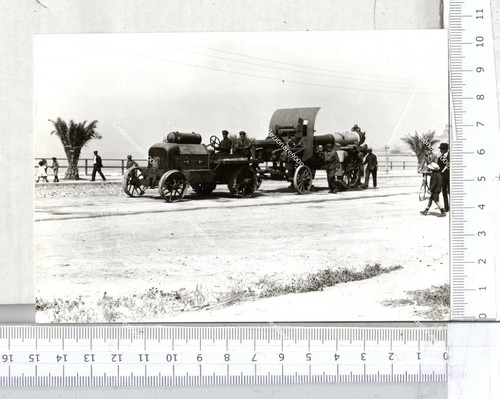 Lia cannone s19 110 - cannone,