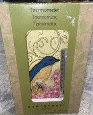 Nuovo Termometro Colibrì