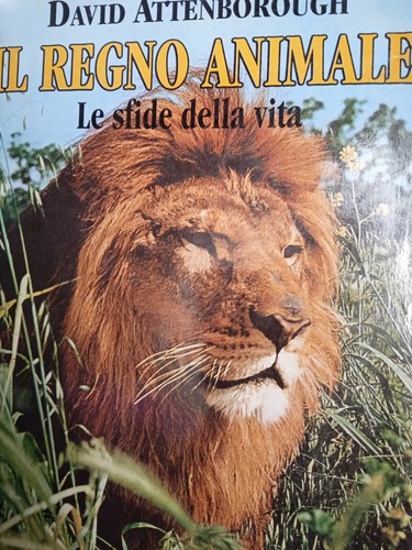 Libro agostini regno - libro,