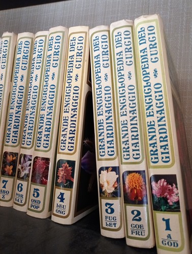 Grande enciclopedia del - grande,