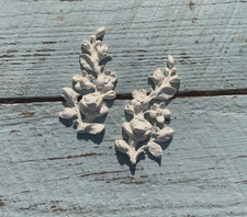 SHABBY CHIC ROSE VITI / COPPIA