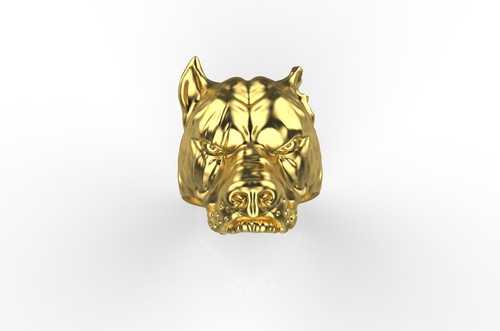 Anello pitbull argento - pitbull,